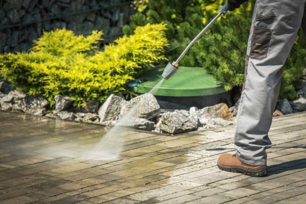 Best Fence Cleaning  in Odon, IN