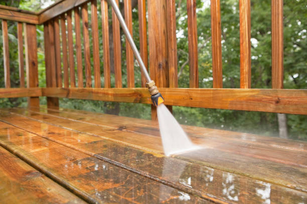 Best Animal Enclosure Cleaning  in Odon, IN